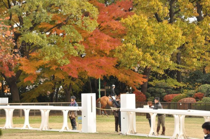 Maneje girmek için bekleyen yarışmacılar