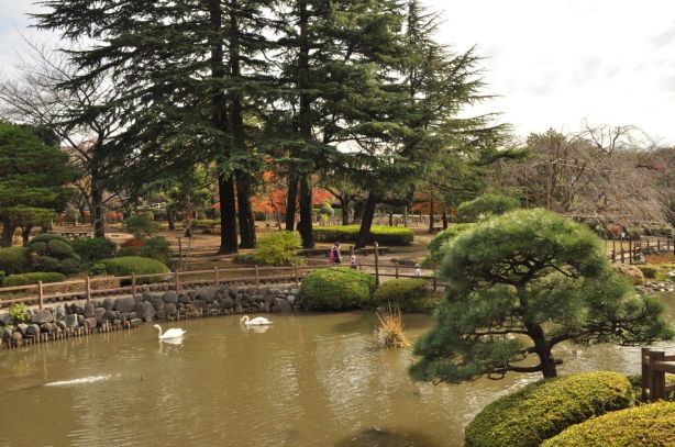 Kuğulu parkı da var