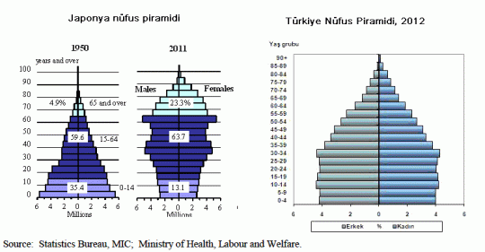 population piramit japan 2