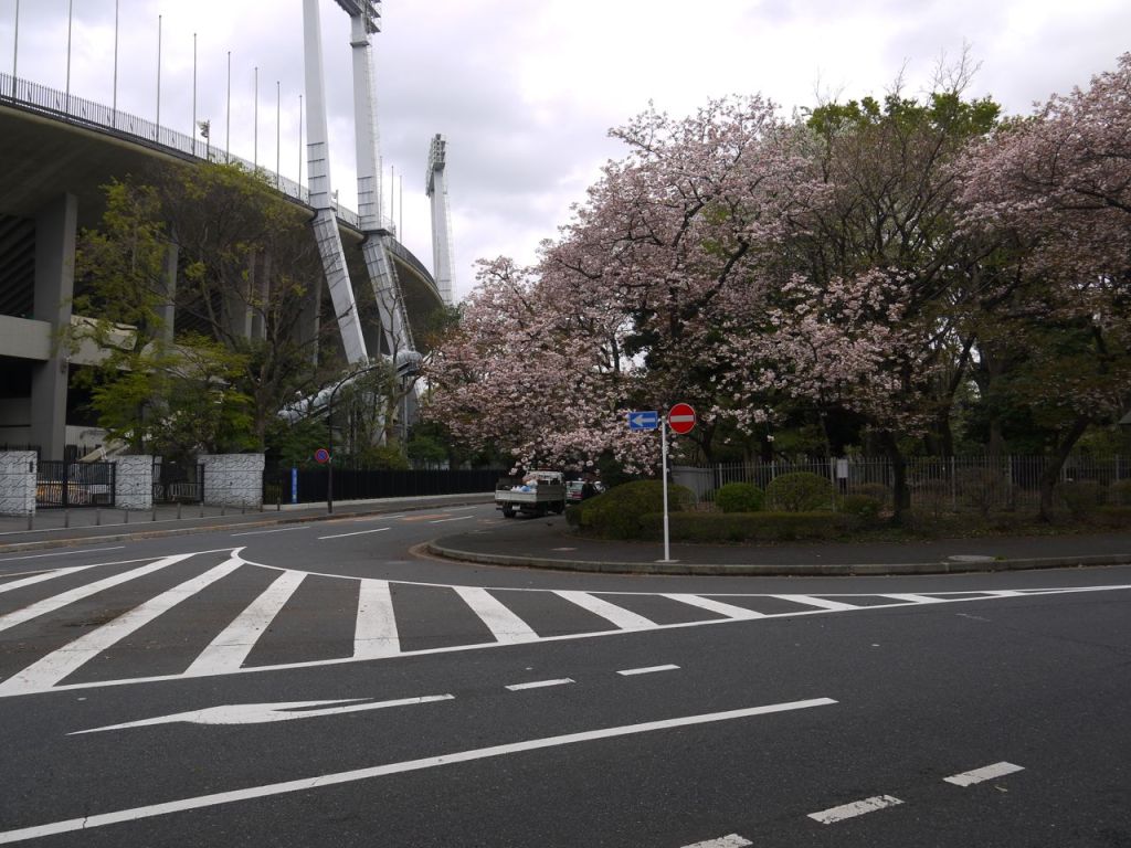 Spor kompleksi içinde hala biraz da olsa sakura çiçekleri kalmiş