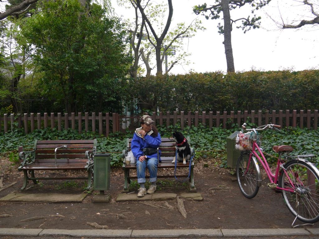 Parkda bir ziyaretçi ve köpeği