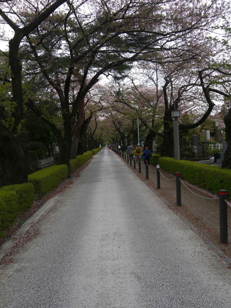 Aoyama Mezarlığı girişi