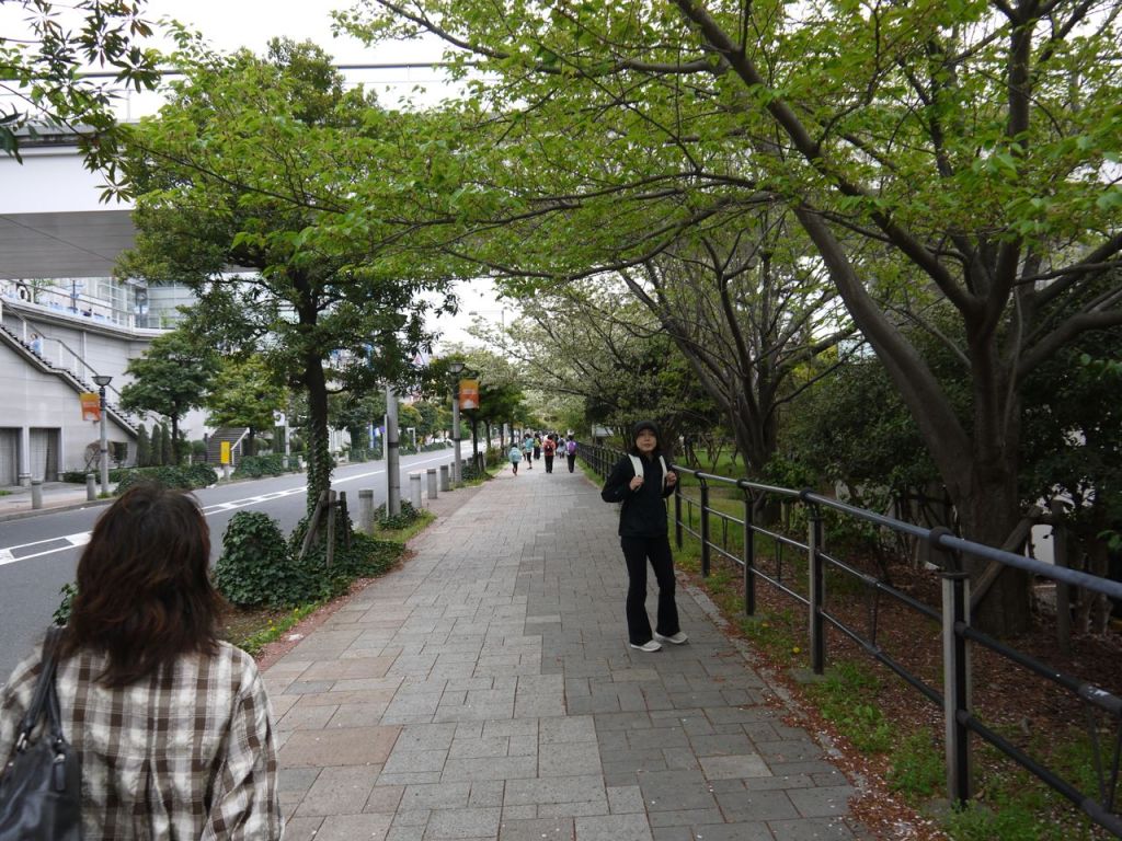 Varış noktasına kadar olan yol geniş ve yeşillik. Ha gayret az kaldı
