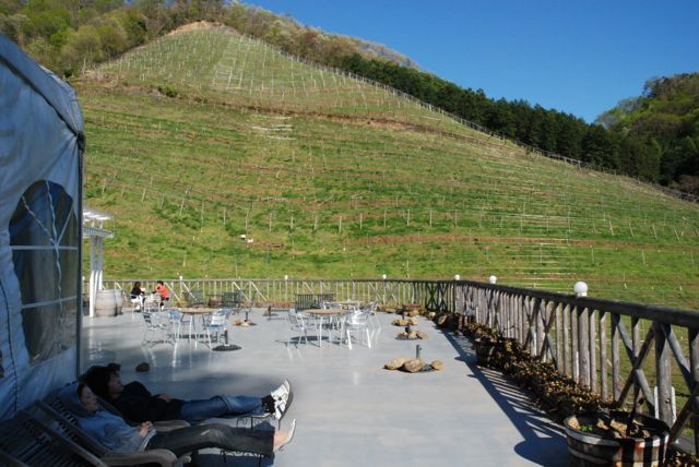 Misafirler geniş terasda dinlenebiliyorlar, arkadaki dik yamaç bağ