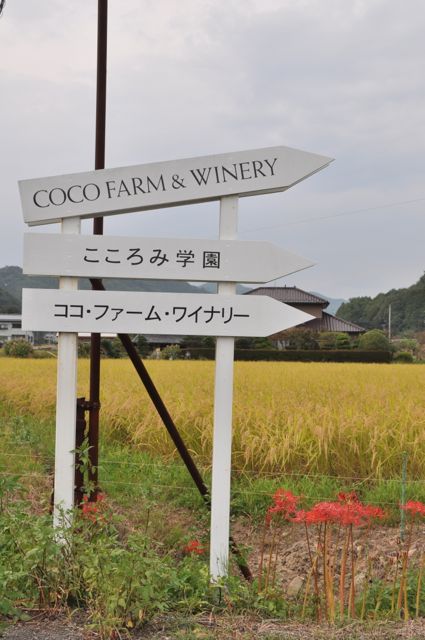 Çiftlik Aşikaga'dan 20 dk uzaklıkta