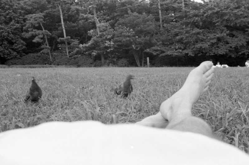 Parkta uzanmış keyif yaparken yanıma gelen güvercinler