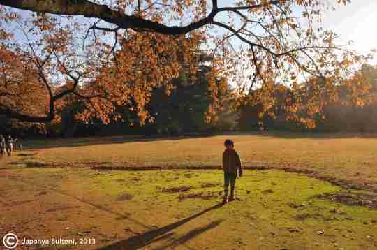 Gyoen parkında akşam üzeri