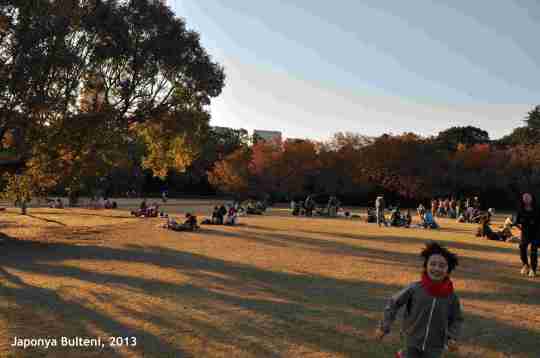 Geniş park içinde doyasıya koşuyorlar