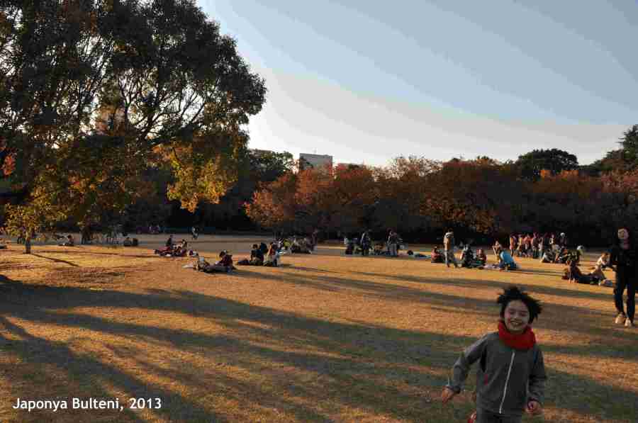 Geniş park içinde doyasıya koşuyorlar