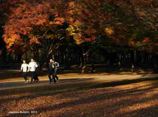 Sabah saatlerinde parkta koşanlar