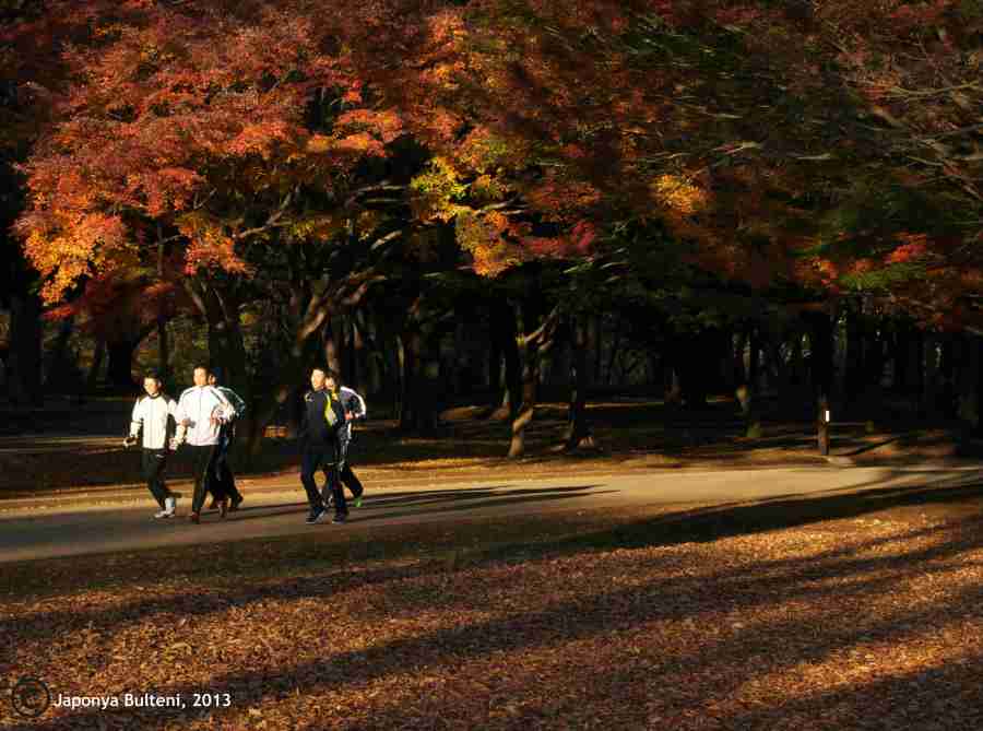 Sabah saatlerinde parkta koşanlar