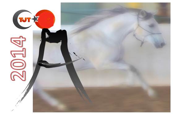 2014 “At Yılı”na girerken (Japonya’da yeni&nbsp;yıl)