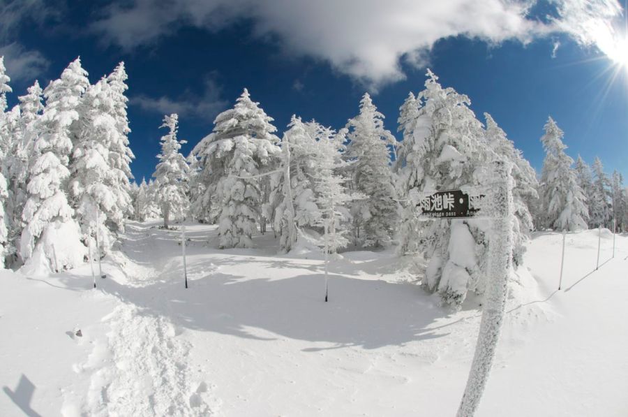 Bir sonraki zirveye giden patika