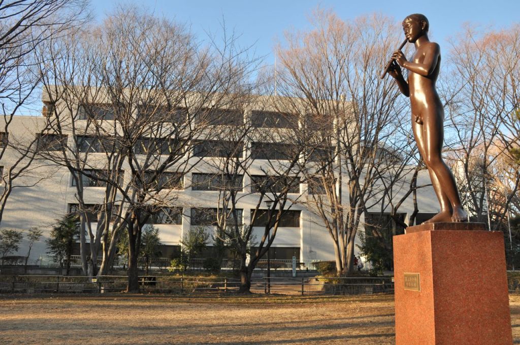 Metropolitan kütüphanesinin parktan görünüşü