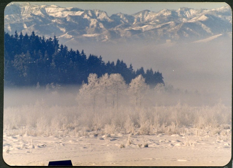 Üniversite için "Kar Diyarı" diye bilinen bölgede bir yer tahsis edilir