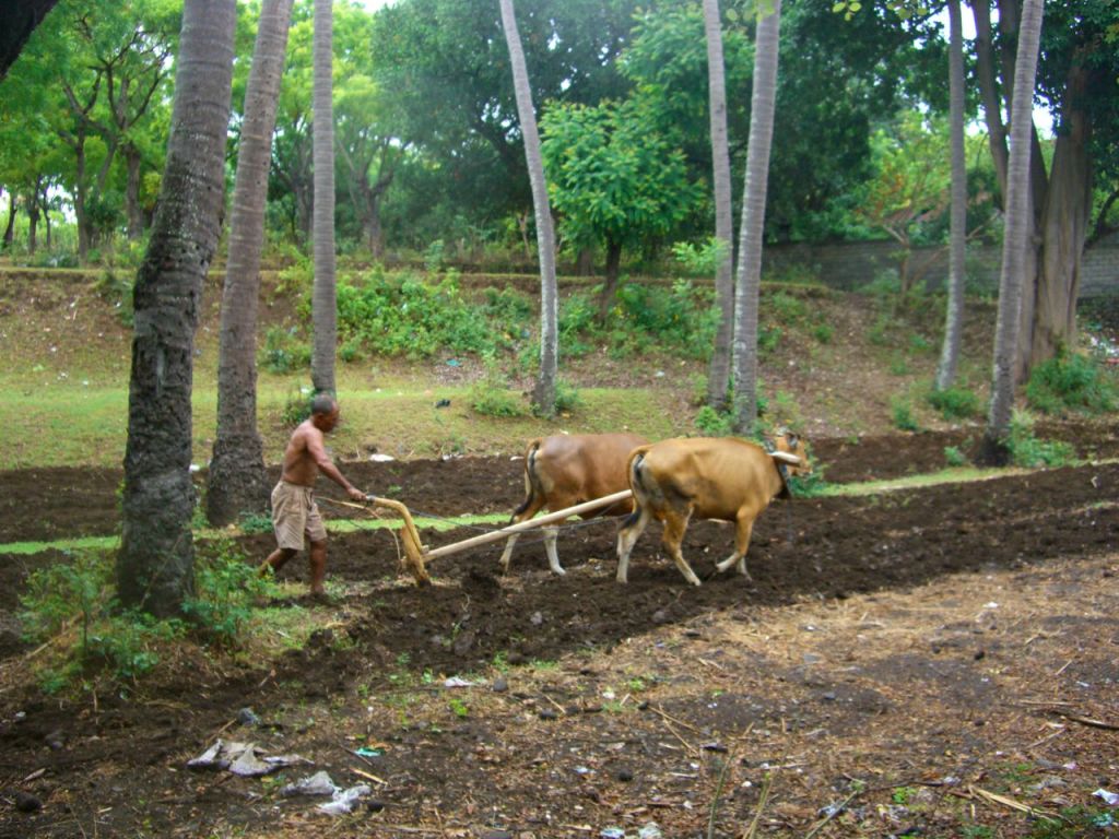 Bu tarlanın kıyısından dalışa başladık