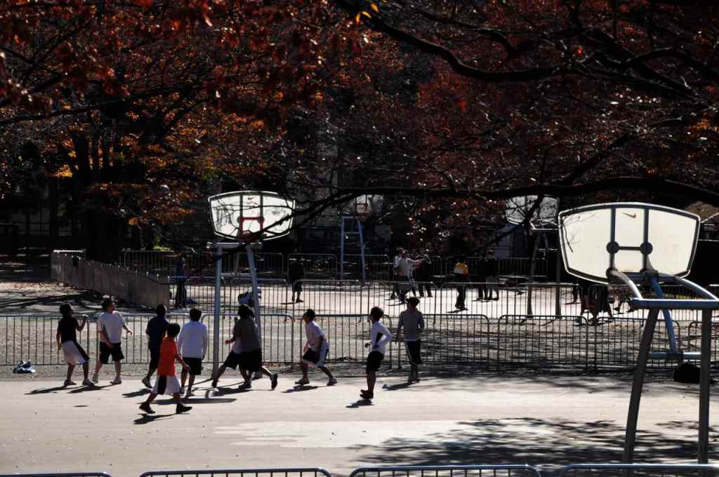 Basketbolseverler burada