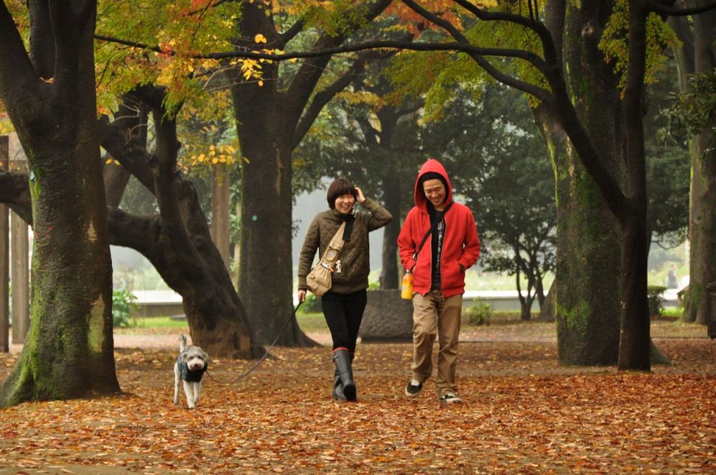 Aşk her yaşta aşktır