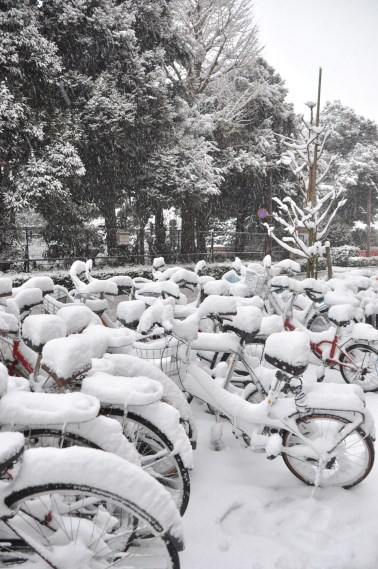 Bisikletler kar altında