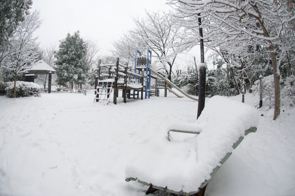 Tokyo karlar altında