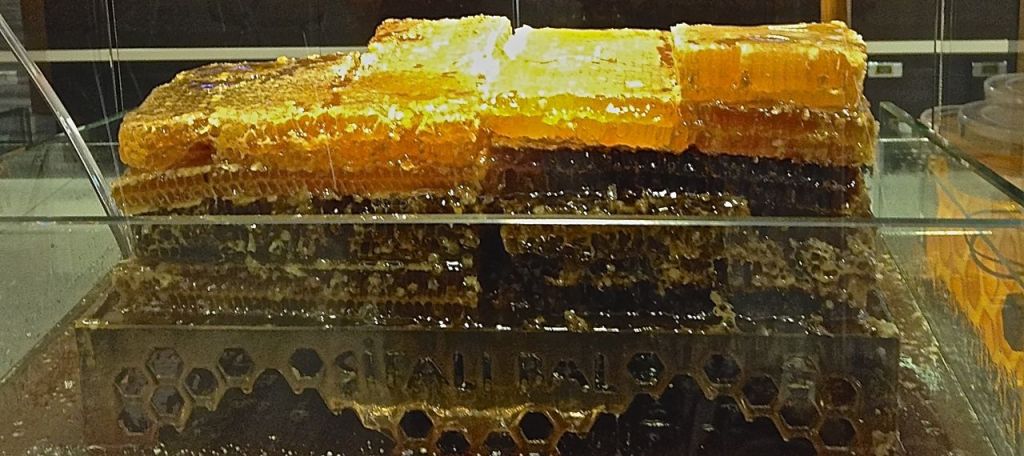 Akdeniz mutfağı-Japon mutfağı