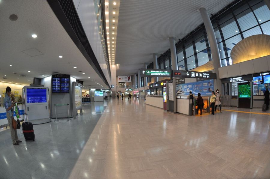 Narita geliş, kimsecikler yok