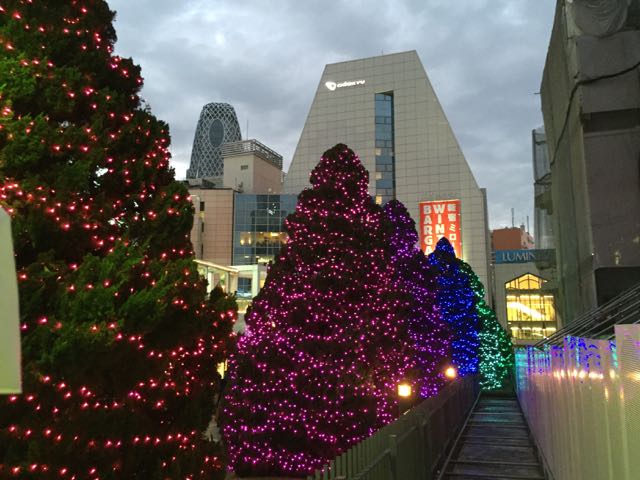 2015 “Koç, Koyun”&nbsp;yılı