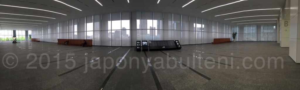 Japonya yeni bir partner&nbsp;arıyor