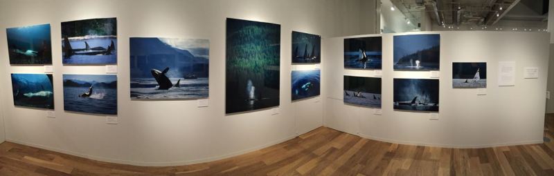 Bir başka görünüm 