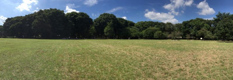 Kinuta Parkında alabildiğince açık alan ve ağaçlık var