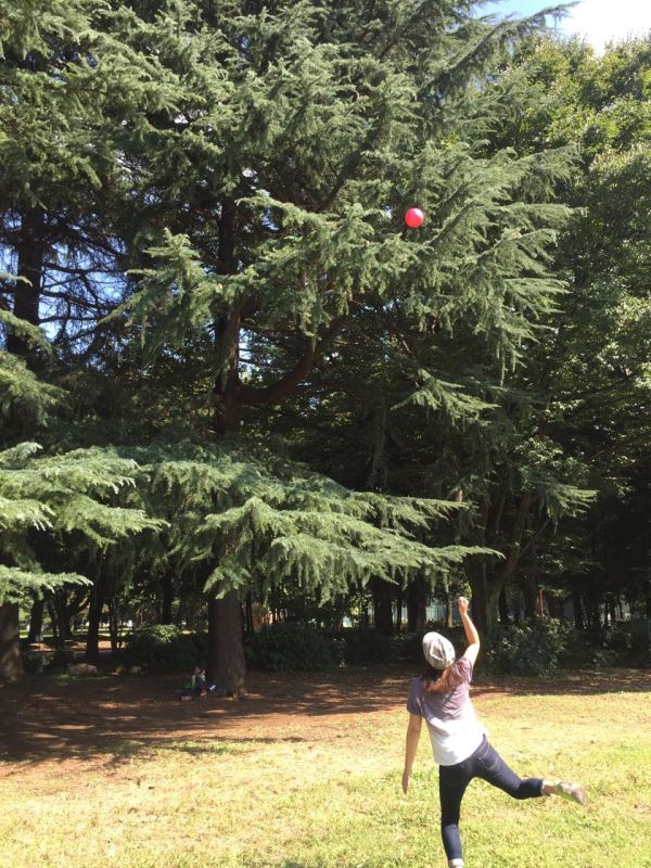 Ağaçta kalan bumerangı yere düşürmeye çalışıyoruz