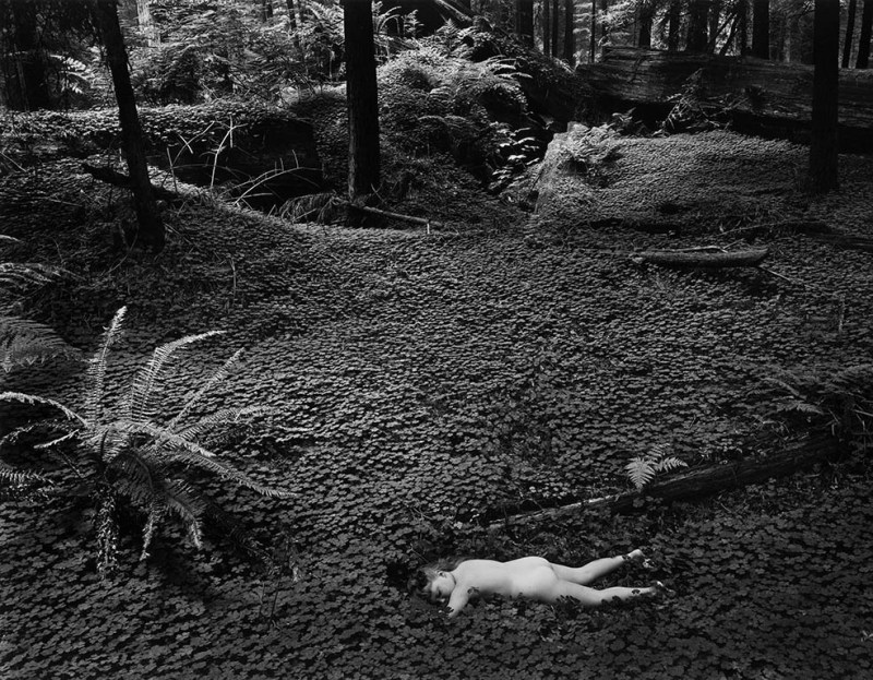 Sergide Wynn Bullock'dan tek fotoğraf vardı. 