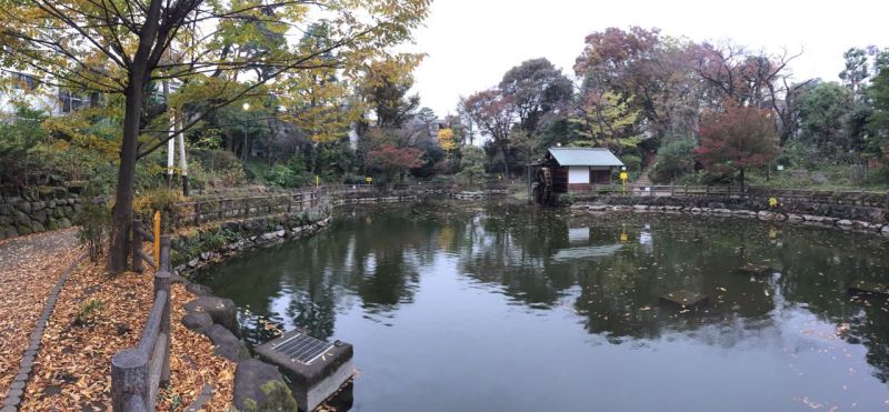 Nabeshia Shoto Parkı