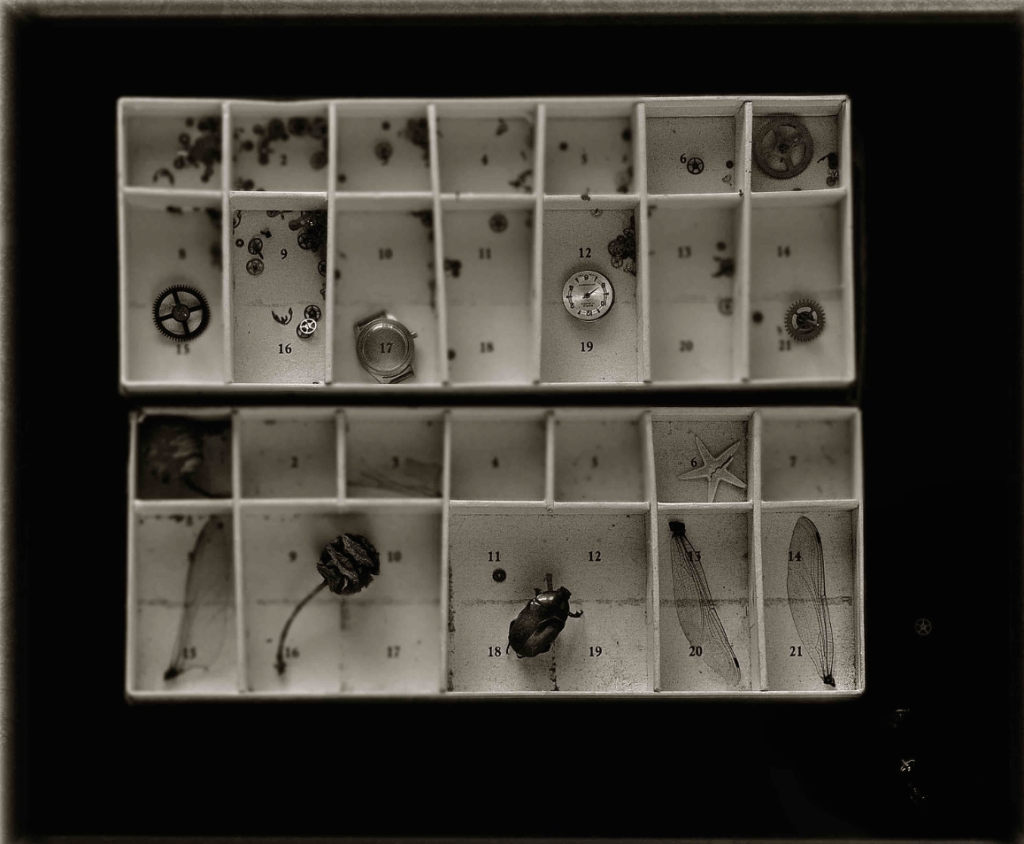 Bu eserin adı zaman sesleri kolleksiyonu