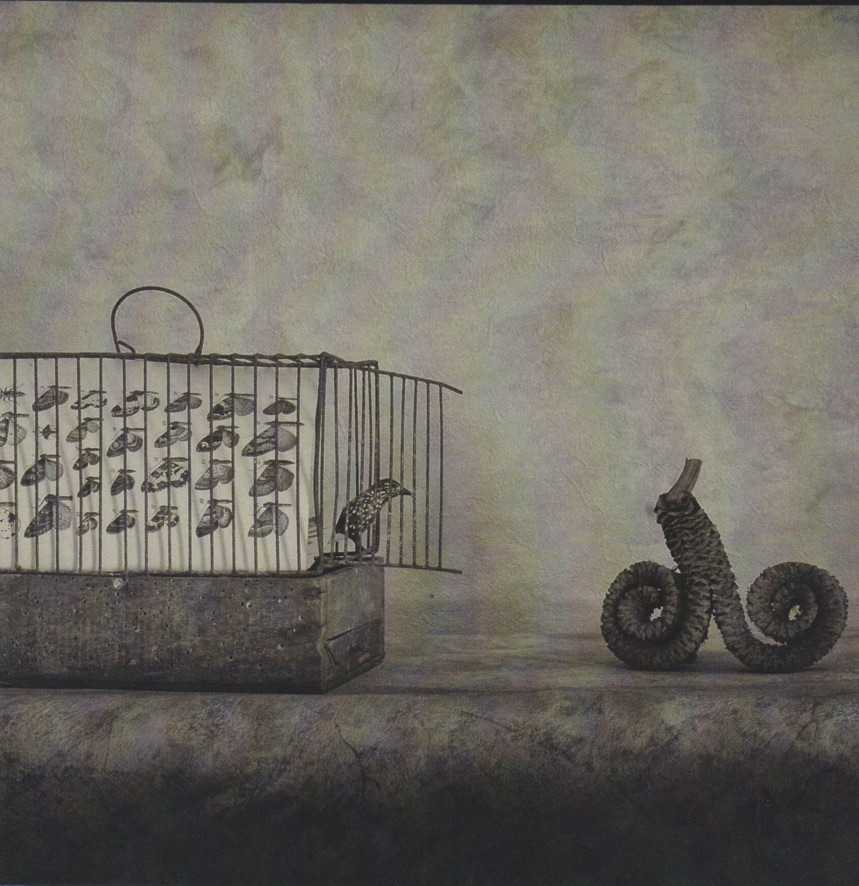 Sergiden bir fotoğraf