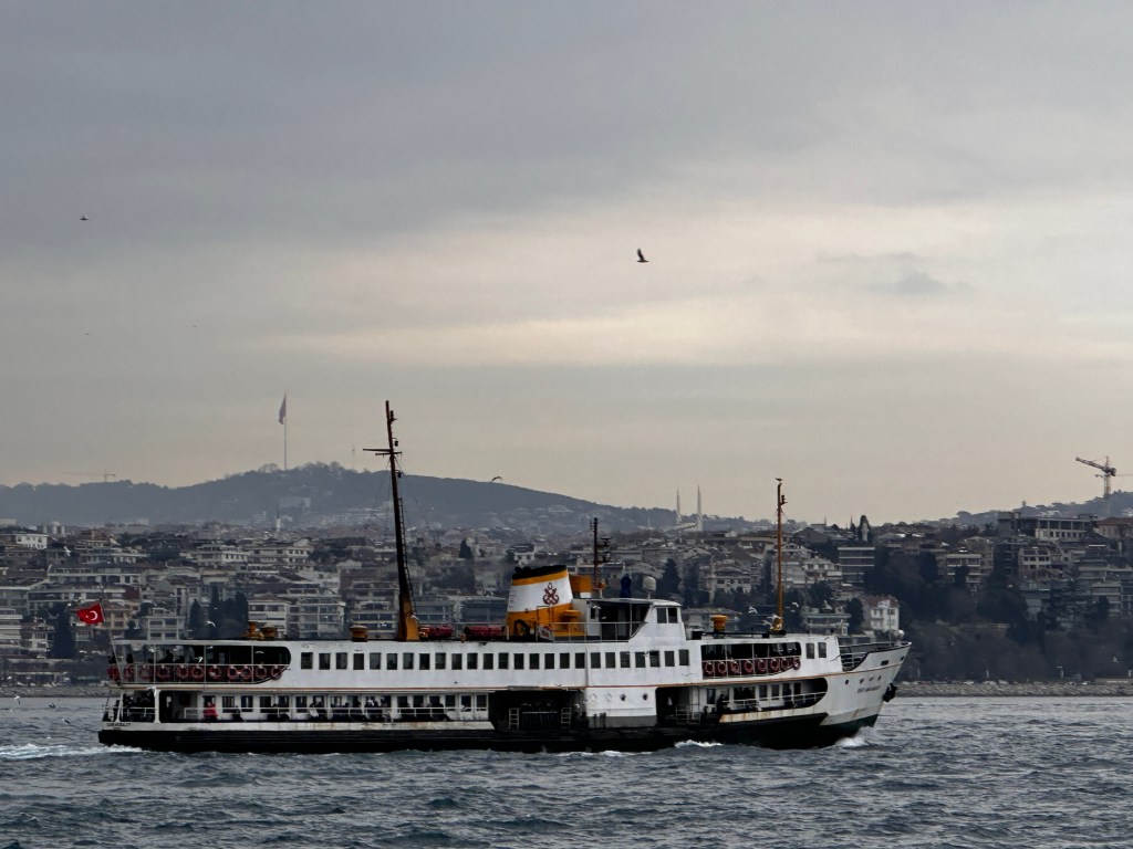 Bir Uskumrunun Düşündürdükleri